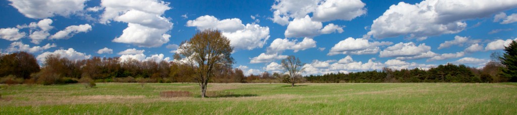 Open field in Al Sabo Land Preserve, Texas Corners, Michigan